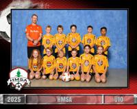U10 McDonalds Yellow